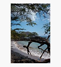 Maui Shoreline Photographic Print