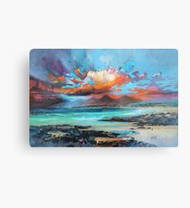 Sanna Sky Metal Print