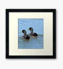 The Twins Framed Print