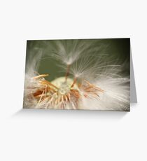 Preparing for flight Greeting Card