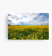 Wishing For Summertime Canvas Print
