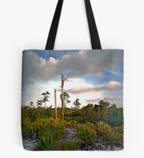 Scrub. Lake Lizzie Preserve. Tote Bag
