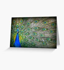 Peacock's Pride Greeting Card
