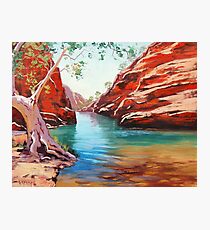 Outback Ghost Gum Photographic Print