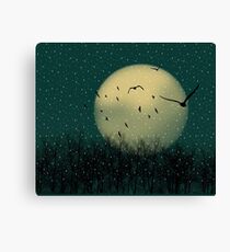 Winter night Canvas Print