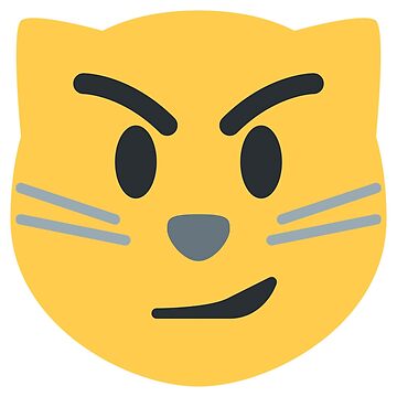  Funny Emoticon Apparel Smirking Emoticon Face with Wry Smile Cat  Throw Pillow, 18x18, Multicolor : Home & Kitchen