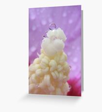 Refresh Greeting Card