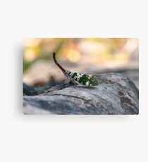 Simply Insecta Metal Print