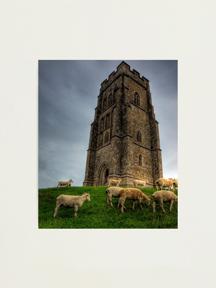 Alternate view of Sheep grazing on Glastonbury Tor Photographic Print