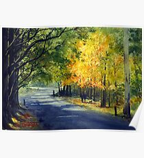 Mount Wilson in Autumn, Blue Mountains, Australia Poster