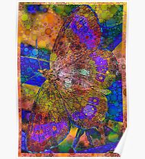 Butterfly Poster