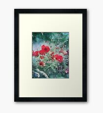 Mohnfeld Framed Print