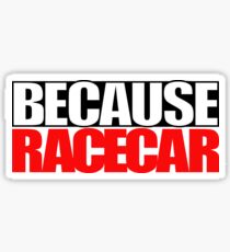 Because Racecar Sticker