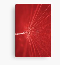 Abstrakt Rot Canvas Print