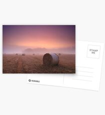 Purple Dawn Postcards