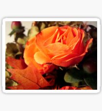 In the Autumn light ^ Sticker