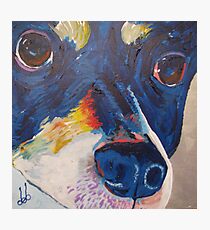 Woof 3 Photographic Print