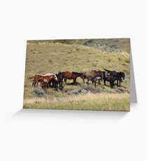 The Wild Horses Greeting Card