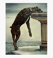 The Drinking Fountain Photographic Print