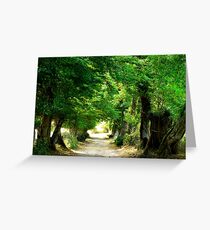 Tree Lane Greeting Card
