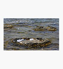 Not just any old rocky lump....The earliest record of life on earth Photographic Print