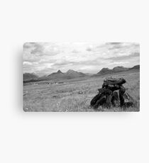 Peat Canvas Print