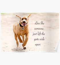 Live like someone left the gate wide open Poster
