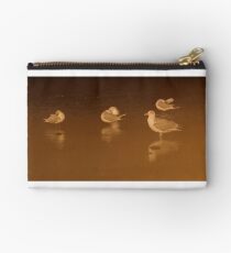 Roosting Gulls Studio Pouch
