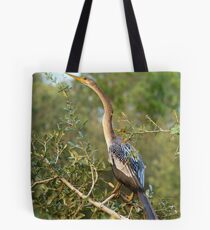Gorgeous anhinga Tote Bag