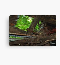 Sky Light Canvas Print