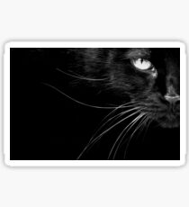 The Cat's Whiskers Sticker