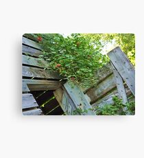 On the Tilt Canvas Print