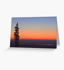 Winter Tree Greeting Card