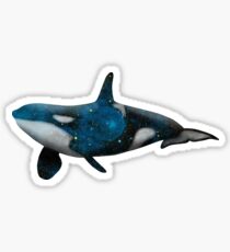 Galaxy Orca Sticker