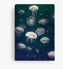 Jellyfish Canvas Print