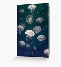 Jellyfish Greeting Card