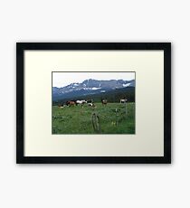 BLACKFOOT HORSE BAND - NEAR BROWNING, MT Framed Print