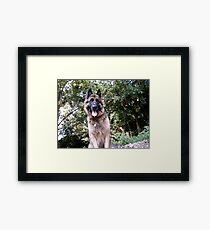 Who? Framed Print