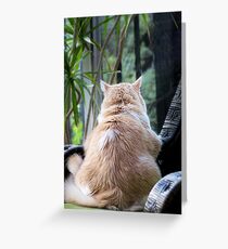 Rainy Day Blues Greeting Card