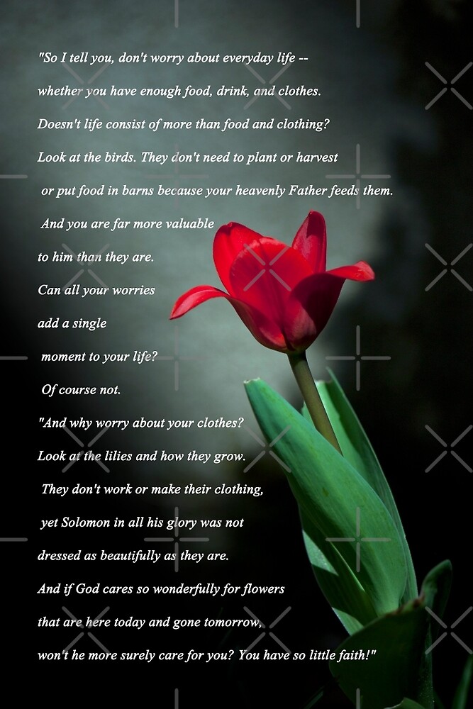  Matthew 6 25 30 By Deborah McLain Redbubble