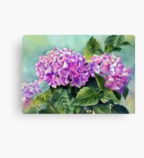 Pink Hydrangeas Leinwanddruck