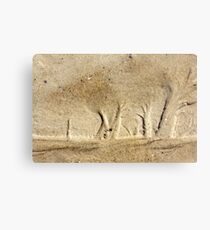 Forest in the Sand Metal Print