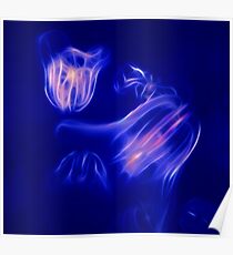 Bioluminescence Poster
