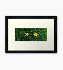 The Moon and the Sun Framed Print