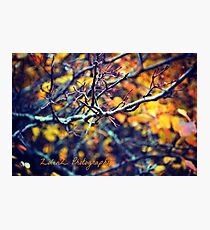 Autumn Point Photographic Print