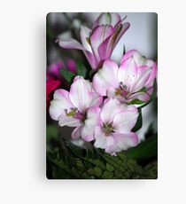 Little Beauties Canvas Print