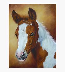 Fancy Portrait Photographic Print