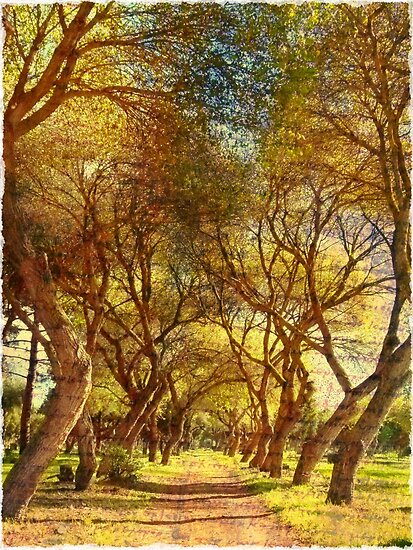 if trees could speak If trees could speak shankar tells us what his works will highlight the importance of the flora in our society artist, photographer and animation trainer s shankar. if trees could speak If trees could speak shankar tells us what his works will highlight the importance of the flora in our society artist, photographer and animation trainer s shankar.