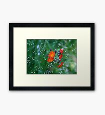 Orange Brush Framed Print