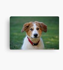 Max Canvas Print